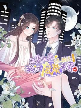 逆袭归来:我的废柴老婆第三季海报