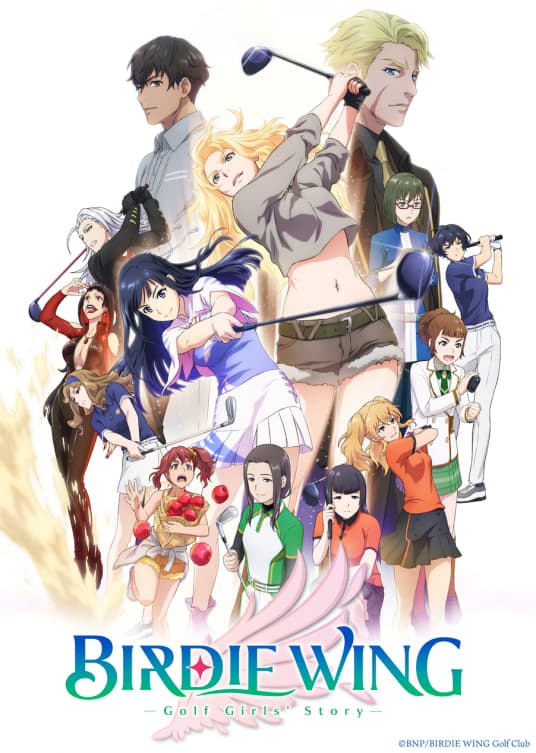 小鸟之翼海报